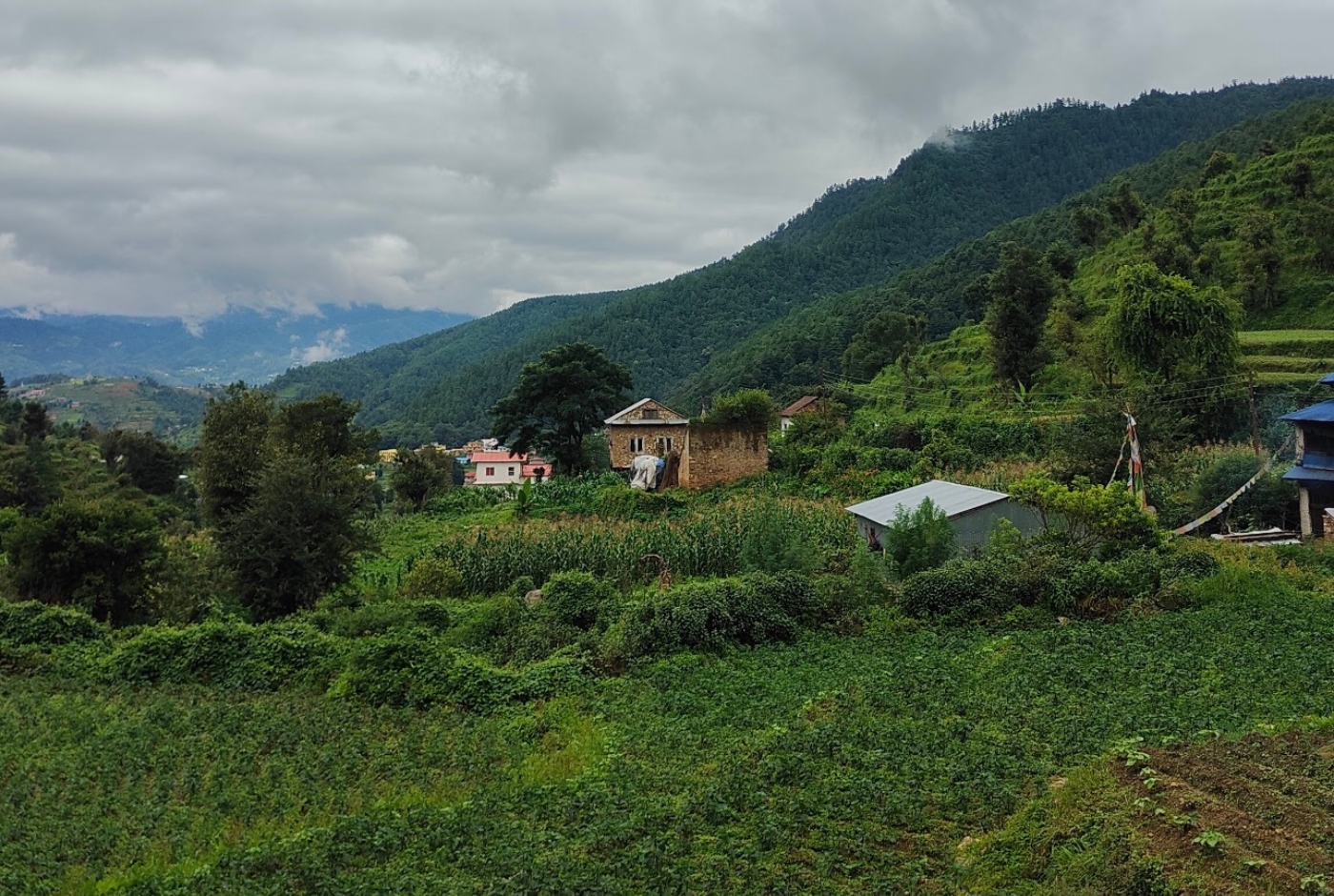 Chitlang