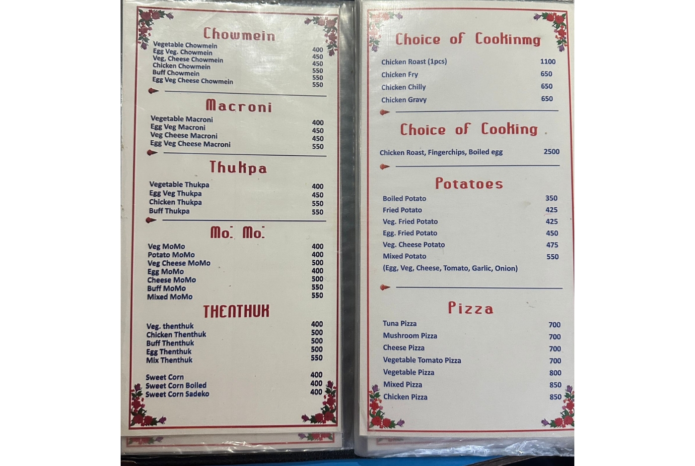 Nagarkot Food and Accomodation