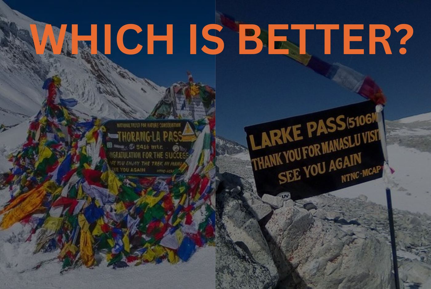 Which is better circuit