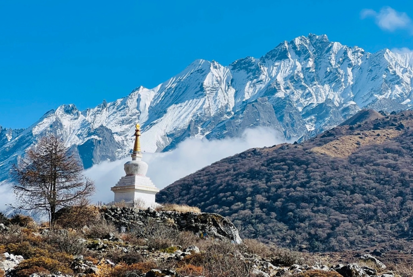 Langtang valley trek