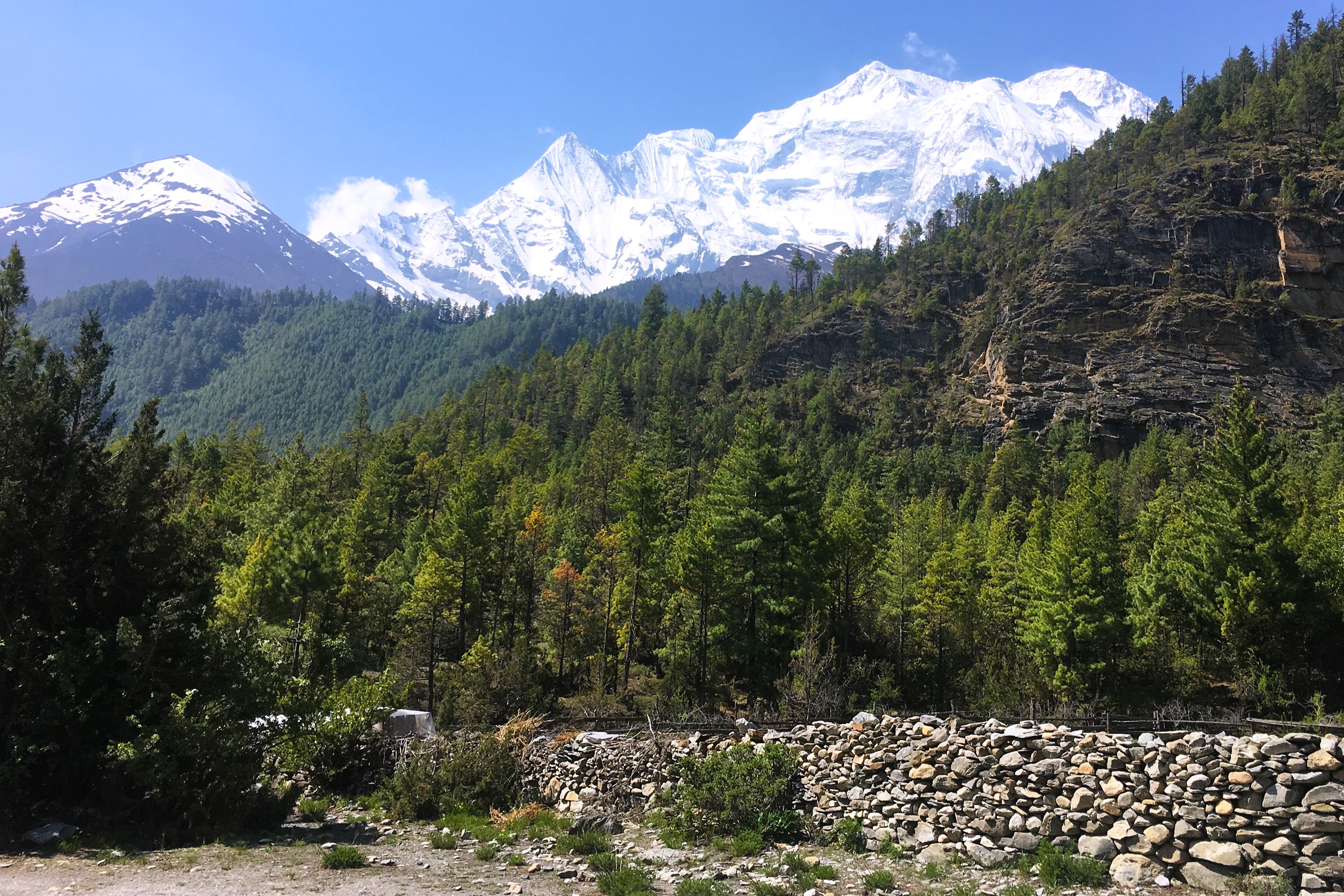 monsoon in nepal